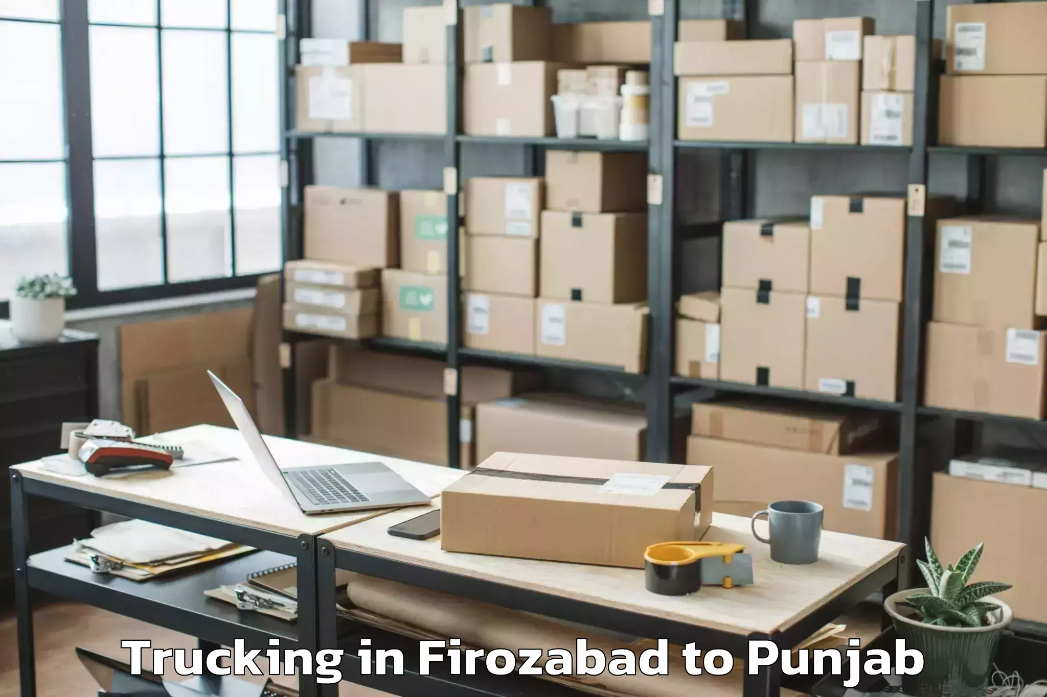 Book Firozabad to Moga Trucking Online